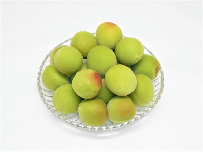 ［梅酒・梅ジュース用］紀州南高梅5kg（3Lサイズ） 304018_AV12