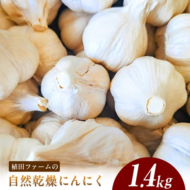 植田ファームの自然乾燥平戸にんにく約1.4kg  /ガーリック ニンニク 高知県 土佐市 【株式会社　植田ファーム】[BQAT023]