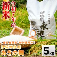 isa743 《数量限定》令和7年産 新米 特別栽培米 伊佐米永池 あきの舞(5kg) 伊佐市 永池 特産品 お米 米 白米 精米 伊佐米 あきの舞 5kg 【エコファーム永池】