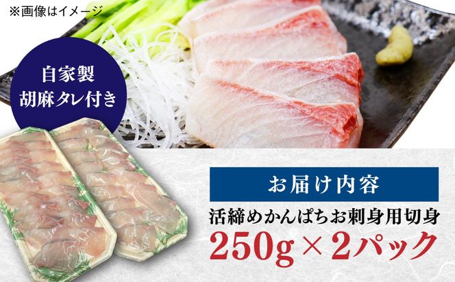 活締め かんぱち お刺身用 切身 250g×2パック / 刺身 海鮮 カンパチ 魚 / 糸島市 / 塚本鮮魚店[ARO011]