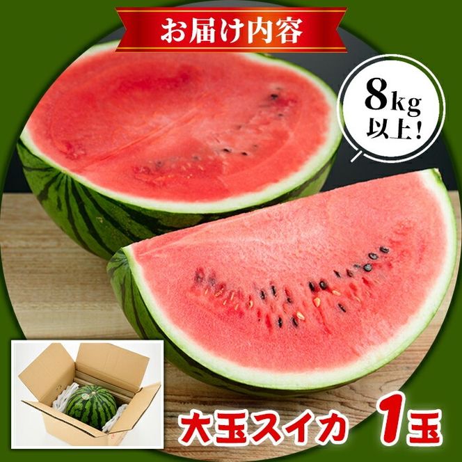 大玉スイカ(1玉・8kg以上) 国産 九州産 鹿児島産 すいか スイカ 西瓜 フルーツ 果物 デザート 夏 旬 水分補給 夏バテ予防 熱中症対策 【株式会社マキオ】akn068-04
