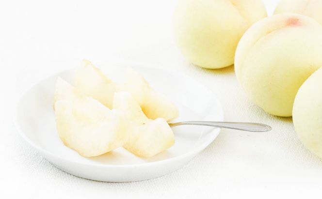 フルーツ 定期便 2026年 先行予約 フルーツ王国 岡山 ベストセレクト 3回コース 桃 もも 葡萄 ぶどう 梨 なし 岡山県産 国産 果物 セット ギフト 旬のフルーツ 高級ぶどう 晴王 あたご梨 大きい梨 