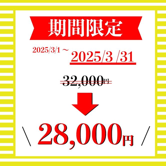 期間限定 ソイ プロテイン バー ザバス SAVAS 12個入り 3箱 ビター チョコレート 大豆 筋トレ 美容 明治 Meiji ダイエット トレーニング [PT0069-000003]