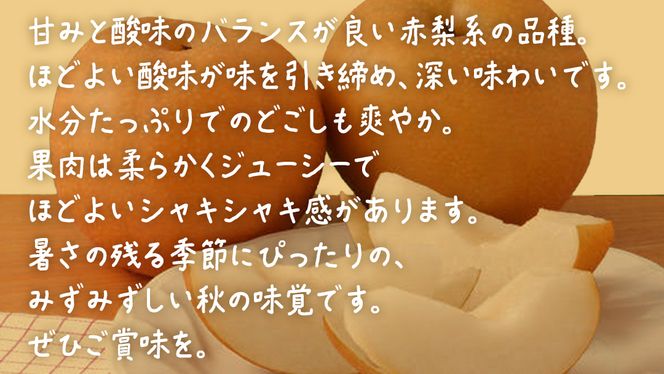 梨 豊水 2.5kg 【 2026年9月上旬発送開始 】 ( 茨城県共通返礼品：大子町 ) 梨 なし 果物 くだもの フルーツ ほうすい ナシ 農家直送 産地直送