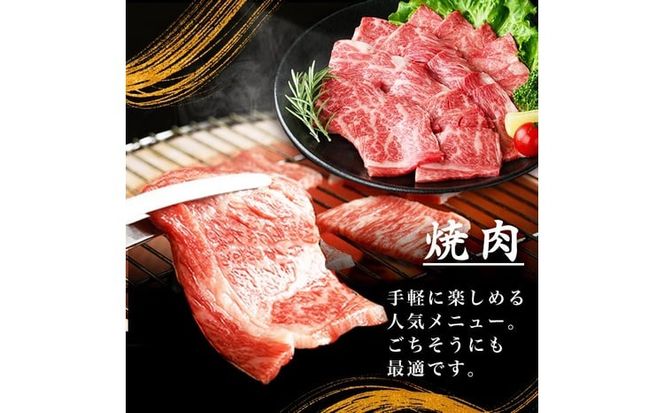 鹿児島県産黒毛和牛肩ロース焼肉用 (計1.2kg・300g×4P) b5-199