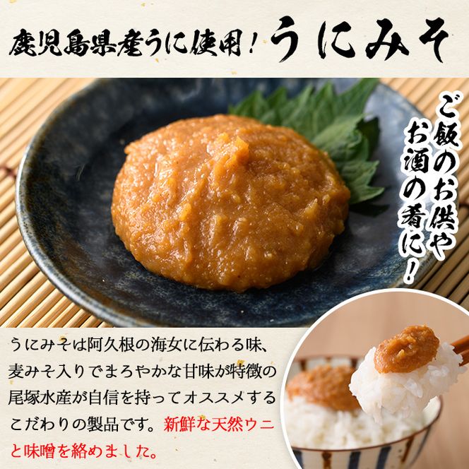 ＜鹿児島県産うに使用＞うにみそ(計3瓶・各50g)国産 雲丹 ディップ おかず おつまみ 雲丹味噌 うに味噌【尾塚水産】akn004-15