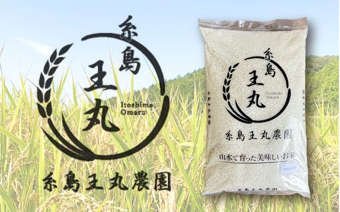【令和7年産】糸島産 ヒノヒカリ 5kg 糸島市 / 糸島王丸農園 ( 谷口汰一 )【いとしまごころ】[AAZ010]