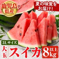 ＜先行予約受付中！2026年6月中旬以降順次発送予定＞鹿児島県産 大玉スイカ(3Lサイズ・1玉) 国産 果物 スイカ すいか 西瓜 フルーツ スイーツ スムージー ジュース【松永青果】akn053-15