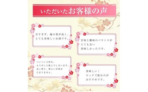 知多梅酒720ml×1本 梅酒 お酒 國盛 國盛FARM 果実酒 食前酒 リキュール ロック ソーダ割 紅南高梅 南高梅 完熟梅 フルーツ 愛知県 美浜町 中埜酒造