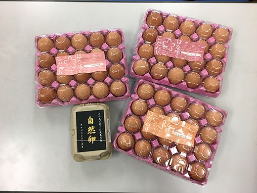 こだわり卵とつけだれのセット【約60個＋つけだれ2本】【K043W】（滋賀県　近江八幡市）