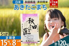 【白米】＜令和7年産 新米予約＞ 《定期便8ヶ月》秋田県産 あきたこまち 15kg (5kg×3袋)×8回 15キロ お米  新米|02_snk-010708s