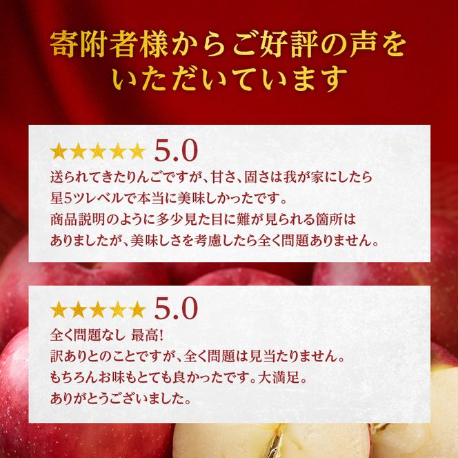 【訳あり】りんご 青森 サンふじ 約 5kg （12～18玉) リンゴ サイキチ農園 青森県 鰺ヶ沢町産 フルーツ 果物 不揃い 傷 林檎 サンフジ ふじ 12月～1月発送 
