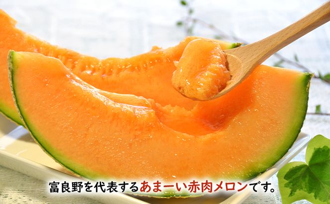【2026年夏発送】メロン 北海道 富良野メロン 赤肉1玉 約2kgサイズ 大玉 北海道 ふらの めろん 果物 フルーツ 甘い ジューシー