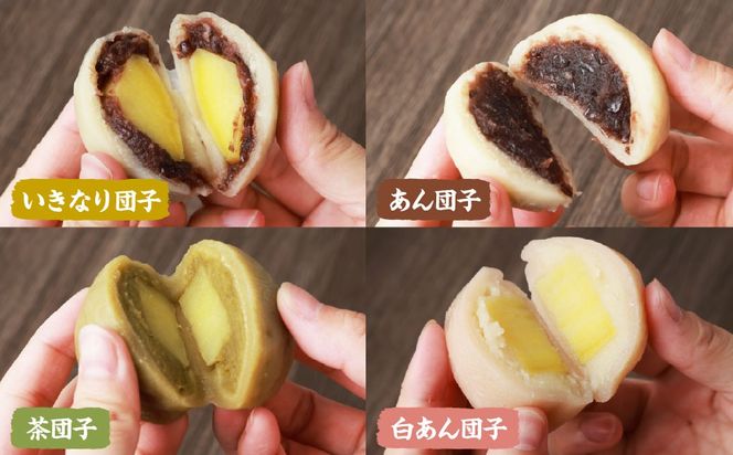 熊本上天草 にのやのいきなり団子バラエティーセット 4種×各6個 合計24個 いきなりだんご いきなり団子 だんご 団子 餡子 スイーツ お菓子 和菓子 おやつ デザート 冷凍 熊本県 上天草市