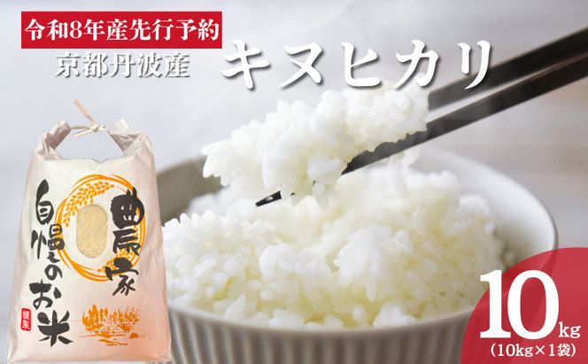 令和8年産 京都丹波産キヌヒカリ 10kg 米 お米 新米 南丹市 京都