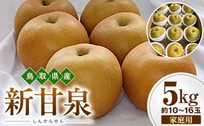 【2026年度先行予約】数量限定　鳥取県産　新甘泉 家庭用 5kg(約10〜16玉)【8月20日以降発送】 313726_DE002