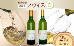 【2025年5月～発送】白ワイン NOVICE ノヴィス 白 2種 セット シュール・リー 甲州＆甲州 720ml 各1本 計2本 フルボトル 日川中央葡萄酒 山梨県 笛吹市 177-7-21