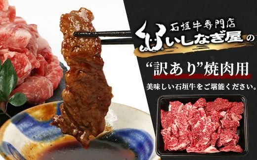 【訳あり】 石垣牛 焼肉用　(不揃い)　500g 【訳アリ 沖縄県 石垣島 石垣牛 国産 黒毛和牛 牛肉 牛 和牛 焼肉 BBQ 】AB-26