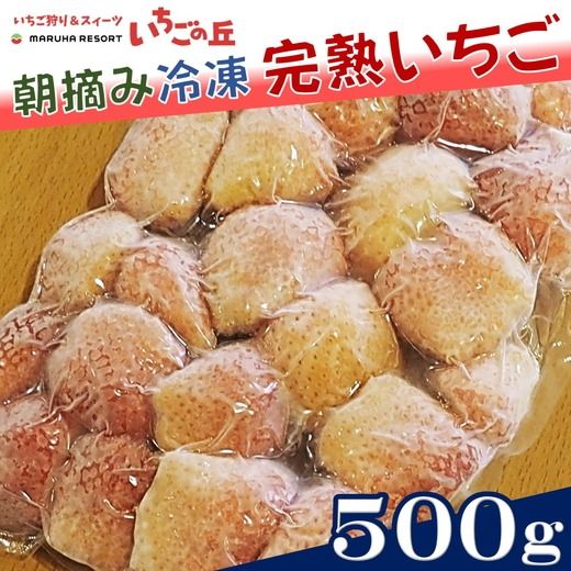 まるは食堂 マルハリゾート いちごの丘 『訳あり』 完熟 冷凍いちご 500g | 訳あり いちご イチゴ 冷凍 国産 完熟 スムージー ジャム ヨーグルト シャーベット デザート アイス おやつ 果物 フルーツ 愛知県 美浜町 ※北海道・沖縄・離島への配送不可