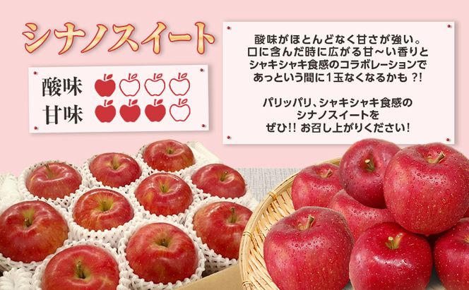 【5月発送クール便】白熊 贈答用シナノスイート約3kg スマートフレッシュ 糖度13度【青森りんご 果物 フルーツ 果物類 デザート 食後 おやつ 青森のりんご 】