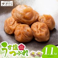 紀州南高梅うす塩つぶれ（塩分約6％）550ｇ×2_YD1001