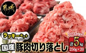 国産豚肉切り落とし5kgラッキーセット_19-3601_(都城市) 国産 豚肉 切り落とし 250g×20袋 5kg 豚肉 小分け お弁当 サラダ しゃぶしゃぶ 料理 アレンジ