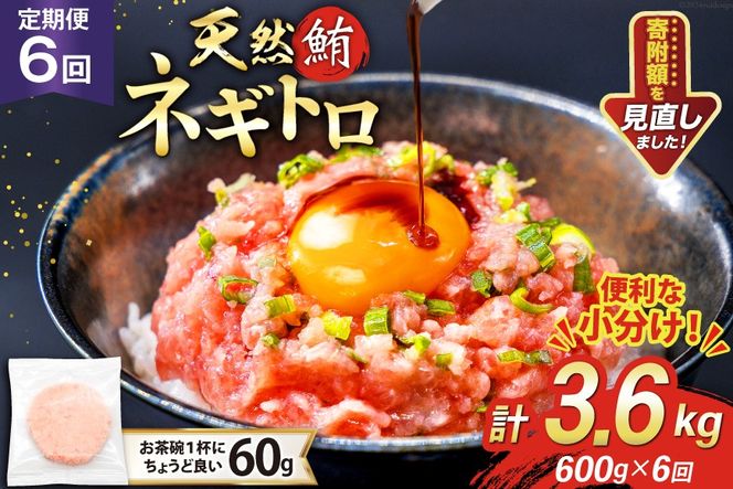 6回 定期便 天然 マグロ ネギトロ まぐろたたき 冷凍 60g 10個 計600g [トライ産業 静岡県 吉田町 22424390] 小分け 個包装 まぐろのたたき 鮪 まぐろ ネギトロ丼 ねぎとろ マグロたたき