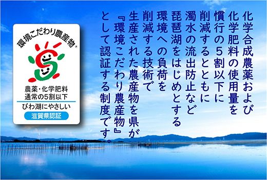 【7年産】近江米 環境こだわり米 ミルキークイーン 無洗米 【10kg×1】【BN07W2】