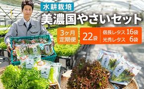 【3ヶ月定期便】美濃国やさいセット 計22袋 ｜ 野菜 野菜セット レタス フリルレタス 水耕栽培 安全 安心 衛生的 新鮮 シャキシャキ 産地直送 サラダ サンドイッチ