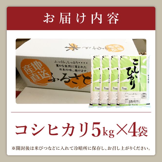 【9月中旬以降より順次発送】R8年産取手市産コシヒカリ 玄米20kg（5kg×4袋）|お米 米 こしひかり コシヒカリ 玄米 茨城県 取手市（BS015-R8）