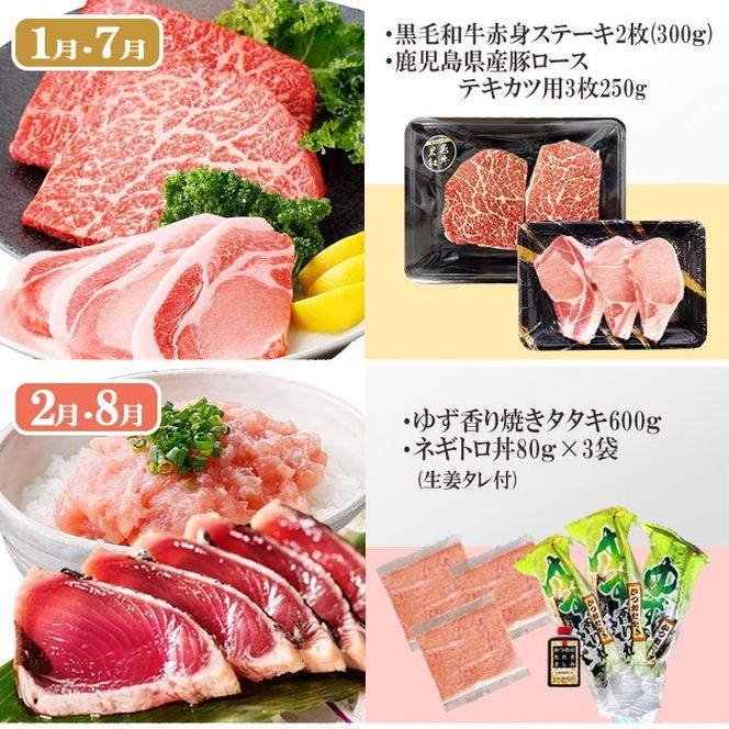 定期便6回配送　よりどりバラエティーセット　GG5-0004 【1573860】