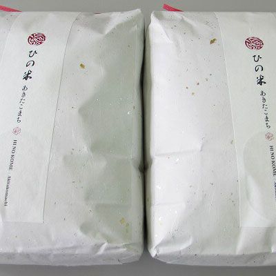 米 お米 【定期便】10kg×6ヶ月 鳥海山の恵み 農家直送！ あきたこまち（玄米・5kg×2袋） 6回 半年 サブスク