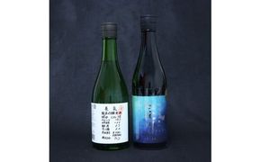 仁淀川純米大吟醸 CEL-24 亀泉純米吟醸 CEL-24 2本セット 高知県 土佐市 こうち 返礼品