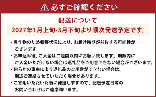 ギフト配送 約450g×2パック 計900g EX 福岡県産 あまおう 特別栽培【2027年1月上旬から3月下旬発送予定】 いちご 苺 イチゴ ベリー 果物 フルーツ お取り寄せ デザート おやつ