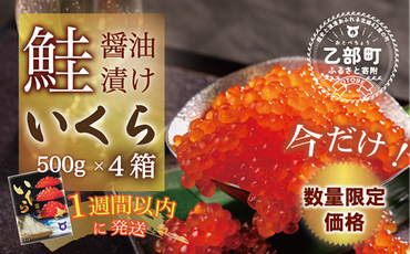 【数量限定 特別価格】鮮度にこだわった＜笹谷商店 いくら　4パック（500ｇ×4）2ｋｇ＞絶品の醤油タレで漬けたいくら（検索：いくら イクラ 鮭いくら 鮭イクラ 醤油いくら 醤油イクラ いくら丼 いくら醤油漬け イクラ醤油漬け 秋鮭 国産 北海道産 北海道乙部町 日本海 冷凍 人気 訳あり 定額減税 使い道 ふるさと納税）