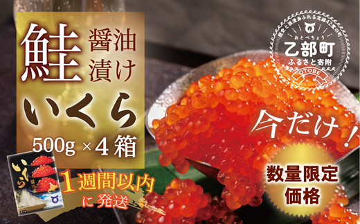 【数量限定 特別価格】鮮度にこだわった＜笹谷商店 いくら　4パック（500ｇ×4）2ｋｇ＞絶品の醤油タレで漬けたいくら（検索：いくら イクラ 鮭いくら 鮭イクラ 醤油いくら 醤油イクラ いくら丼 いくら醤油漬け イクラ醤油漬け 秋鮭 国産 北海道産 北海道乙部町 日本海 冷凍 人気 訳あり 定額減税 使い道 ふるさと納税）