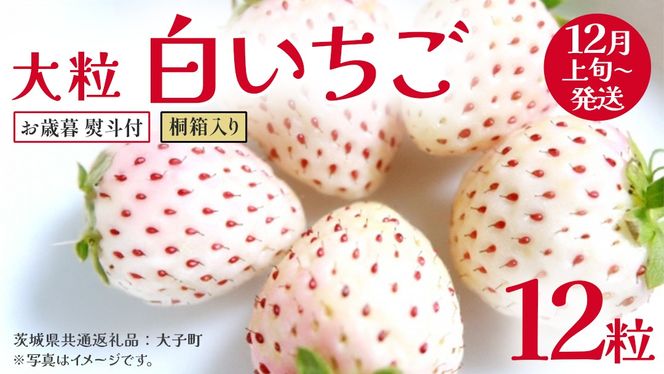 y錧vszy Ε lt z ˔ 嗱  12y2025N12{Jnz(錧ʕԗiFq)   ʕ t[c ʎ p Mtg 蕨