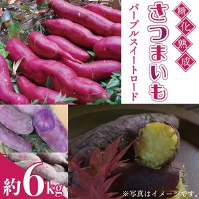 ＼彩り豊かでヘルシーな甘み／山﨑観光農園のパープルスイートロード 約6kg｜栃木県 益子町 ふるさと納税 熟成 さつまいも 芋 サツマイモ パープルスイートロード 6kg (AU041)