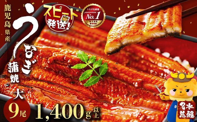 yuzuszYȂ V 9(1160gȏ)v1.4kgȏい e8-001