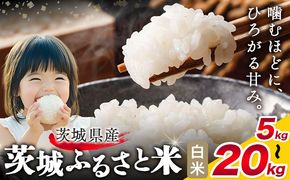 米 茨城 ふるさと米 白米 定期便あり 選べる 5kg 10kg 15kg 20kg 2ヶ月定期便 3ヶ月定期便 茨城県 結城市 米 国産 お米 おこめ お弁当 おにぎり《7-14日以内に出荷予定(土日祝除く)》《定期は翌月より出荷開始》---k_yuki_local_173_5kg---