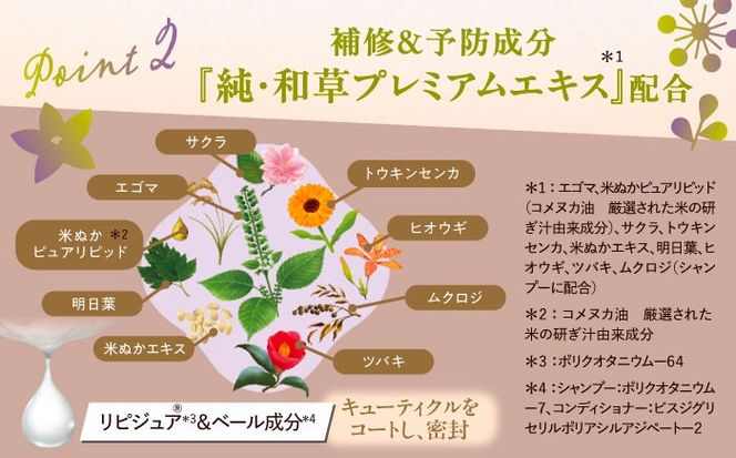 いち髪 ダメージリペア＆カラーケア シャンプー＆コンディショナー 詰替用 各5袋セット 日用品 シャンプー 大容量 愛西市 / クラシエホームプロダクツ 【配送不可：離島】[AEBE004]