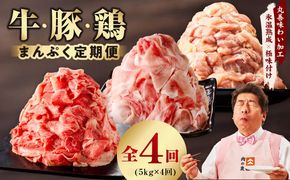 mrzZ021 国産 牛肉＆豚肉＆鶏肉 まんぷく 定期便 5kg×4回【氷温熟成×極味付け 3種 食べ比べ 普段使い 味付き 小分け 訳あり サイズ不揃い 】