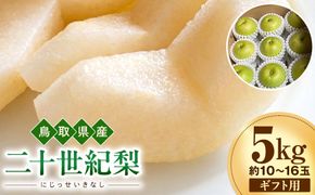 【2026年度先行予約】数量限定　鳥取県産　二十世紀梨　ギフト用　秀品 5kg(約10〜16玉)【8月20日以降発送】 313726_DE005