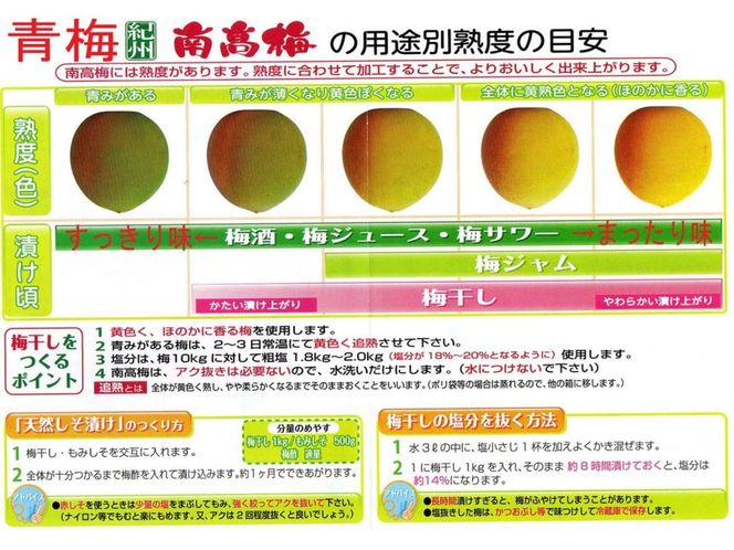 ［梅干・梅酒用］大玉4Lサイズ約2kg 熟南高 生梅 ＜2027年6月上旬～7月中旬発送予定＞［ART21］ 303446_XL26