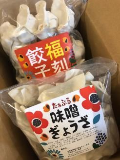 居酒屋のおかあちゃん手作り “パリパリひと口ぎょうざ”と“もちもち餃子”コラボセット 合計80個 H136-058