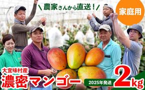 【2025年発送】ご家庭用！濃密マンゴー《家庭用・2kg以上》農家さんより直送！ 家庭用 先行予約 沖縄 甘味 糖度 濃厚 おいしい お土産 まんごー アーウィン 果物 くだもの 果実 送料無料 ふるさと納税 ２キロ トロピカル 箱入り 食べ物 フルーツ