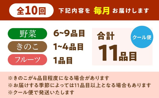 【毎月コース】野菜 キノコ 果物 11品目 詰め合わせ 10回 定期便  / 南島原市 / 吉岡青果[SCZ036]