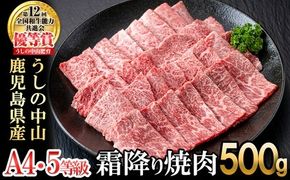 ＜A4・A5等級＞鹿児島県産黒毛和牛 うしの中山 霜降り焼肉用 500g b4-014