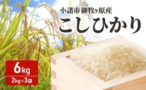 小諸市 御牧ヶ原産こしひかり 　6kg（2kg×3袋）長野 信州 コシヒカリ 精米 美味しいお米 お取り寄せ おこめ 白米