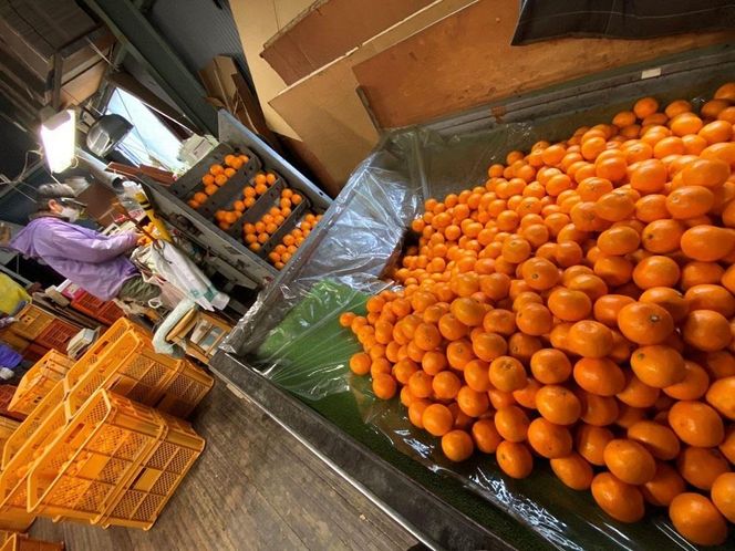 年内発送 完熟早生 有田みかん 小玉ちゃん 等級混合 2.2 kg 和歌山 南泰園 みかん BS654
